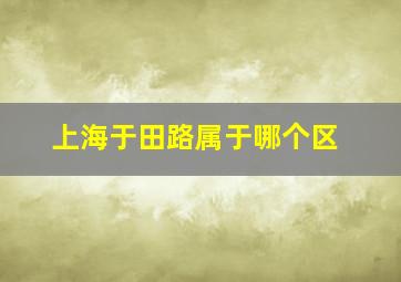 上海于田路属于哪个区