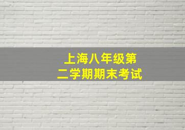 上海八年级第二学期期末考试