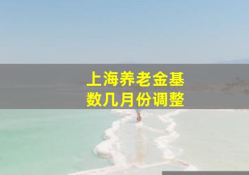 上海养老金基数几月份调整