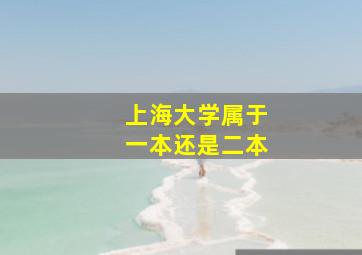 上海大学属于一本还是二本