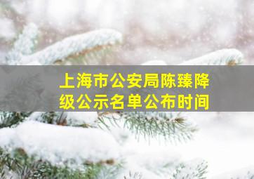 上海市公安局陈臻降级公示名单公布时间