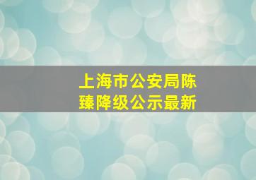 上海市公安局陈臻降级公示最新