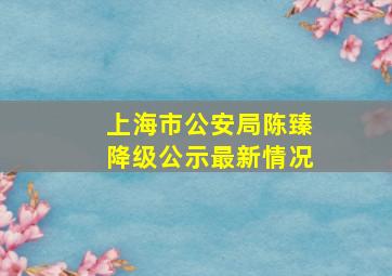 上海市公安局陈臻降级公示最新情况