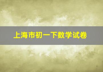 上海市初一下数学试卷