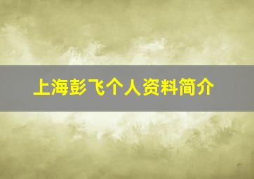 上海彭飞个人资料简介