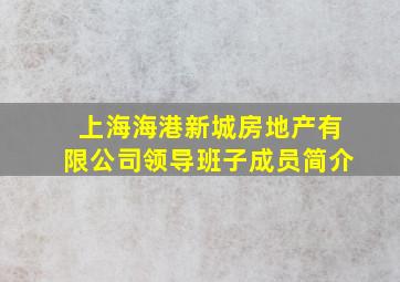 上海海港新城房地产有限公司领导班子成员简介