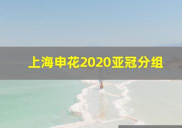 上海申花2020亚冠分组