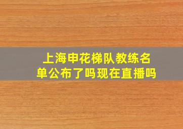 上海申花梯队教练名单公布了吗现在直播吗