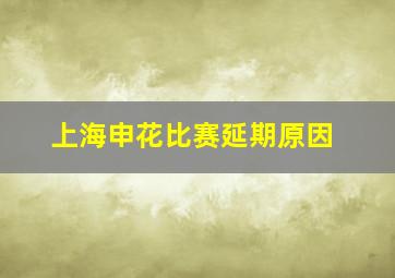 上海申花比赛延期原因