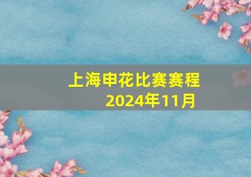 上海申花比赛赛程2024年11月