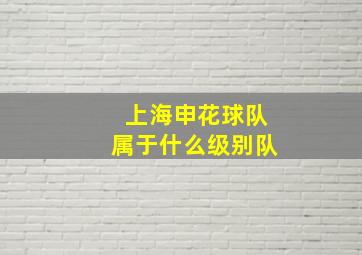 上海申花球队属于什么级别队