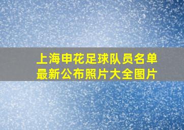 上海申花足球队员名单最新公布照片大全图片