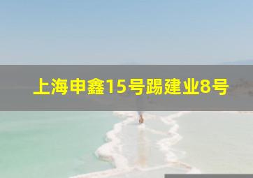 上海申鑫15号踢建业8号