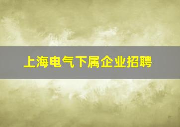 上海电气下属企业招聘