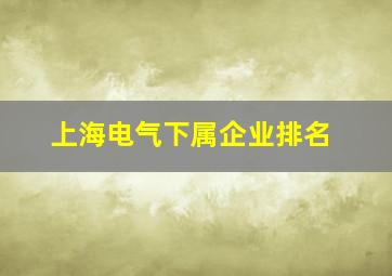 上海电气下属企业排名