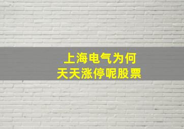 上海电气为何天天涨停呢股票