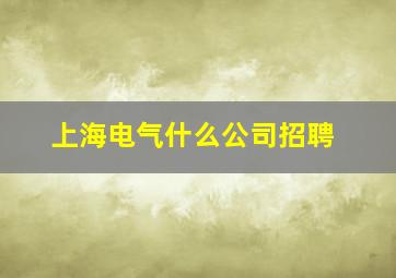 上海电气什么公司招聘