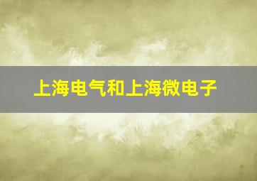 上海电气和上海微电子