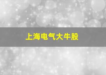 上海电气大牛股