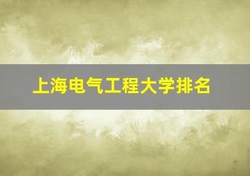 上海电气工程大学排名