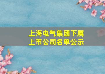 上海电气集团下属上市公司名单公示