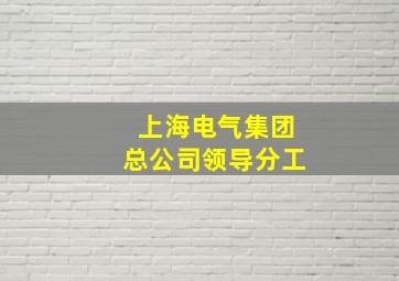 上海电气集团总公司领导分工