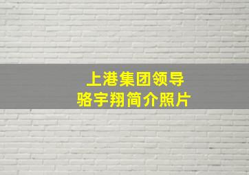 上港集团领导骆宇翔简介照片