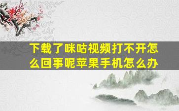 下载了咪咕视频打不开怎么回事呢苹果手机怎么办