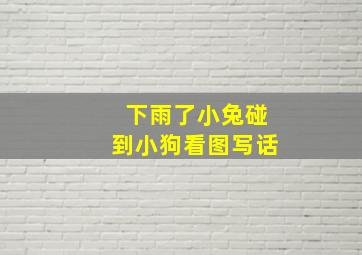 下雨了小兔碰到小狗看图写话