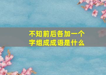 不知前后各加一个字组成成语是什么