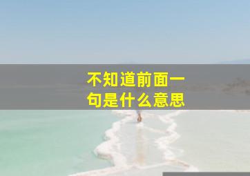 不知道前面一句是什么意思