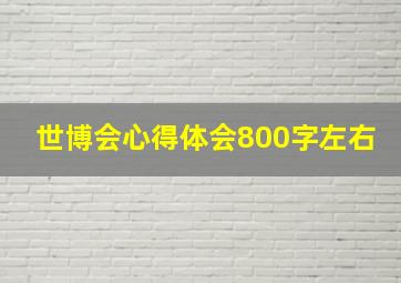 世博会心得体会800字左右