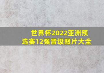 世界杯2022亚洲预选赛12强晋级图片大全