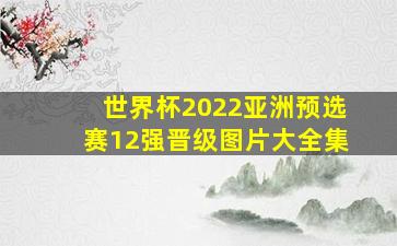 世界杯2022亚洲预选赛12强晋级图片大全集