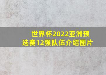 世界杯2022亚洲预选赛12强队伍介绍图片