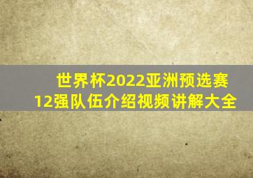 世界杯2022亚洲预选赛12强队伍介绍视频讲解大全