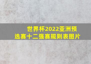 世界杯2022亚洲预选赛十二强赛规则表图片