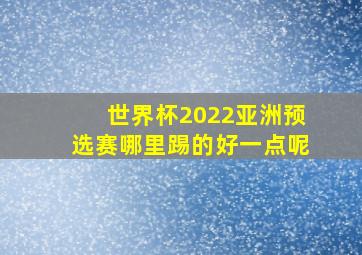 世界杯2022亚洲预选赛哪里踢的好一点呢