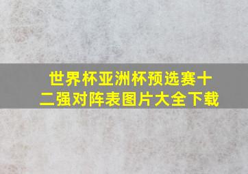 世界杯亚洲杯预选赛十二强对阵表图片大全下载