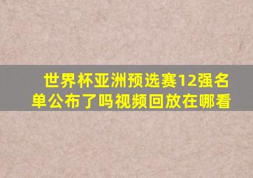 世界杯亚洲预选赛12强名单公布了吗视频回放在哪看