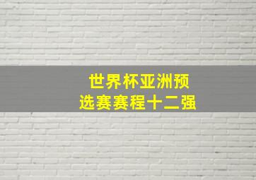 世界杯亚洲预选赛赛程十二强