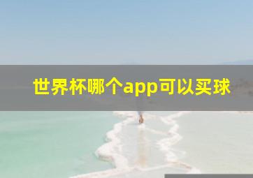 世界杯哪个app可以买球