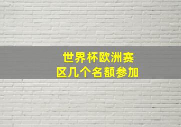 世界杯欧洲赛区几个名额参加