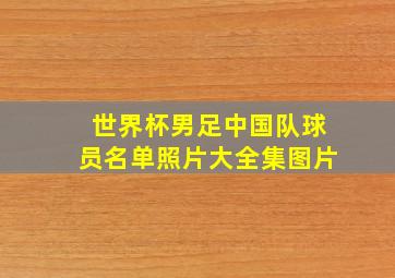 世界杯男足中国队球员名单照片大全集图片