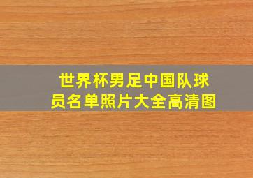 世界杯男足中国队球员名单照片大全高清图