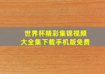 世界杯精彩集锦视频大全集下载手机版免费