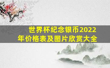 世界杯纪念银币2022年价格表及图片欣赏大全