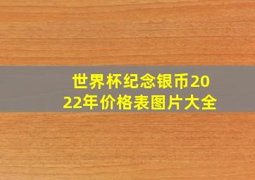 世界杯纪念银币2022年价格表图片大全