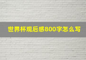 世界杯观后感800字怎么写