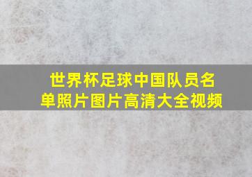 世界杯足球中国队员名单照片图片高清大全视频